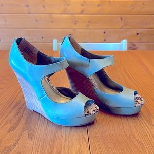 Teal wedges